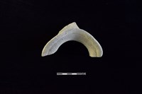 陶罐藏品圖，第2張